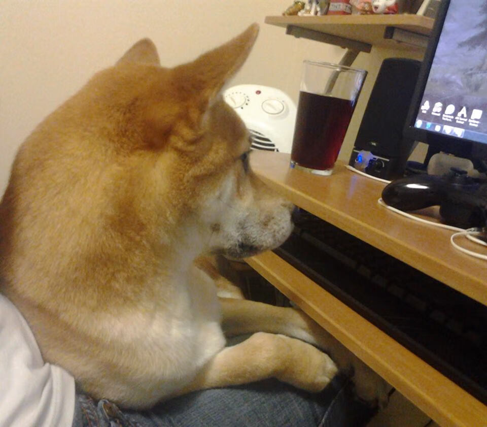 【比赛精彩】马克·塞尔比：精彩的防守反击瞬间集锦，马克塞尔比训练