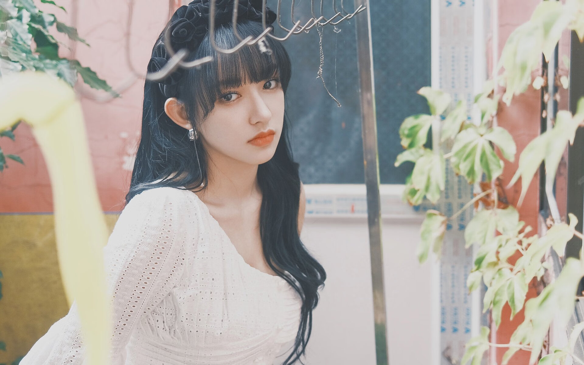 “球星成长史：从新秀到联盟领袖的蜕变”，球星成长电影